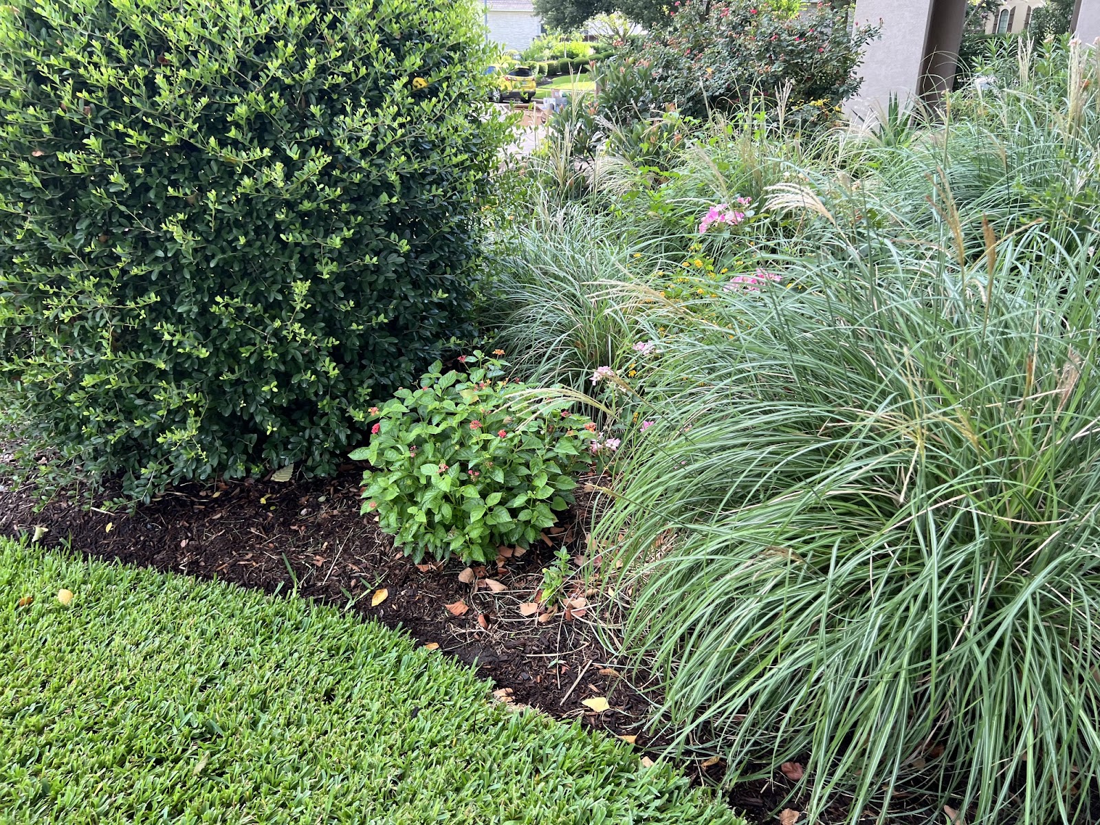 Sprinkler System Installation