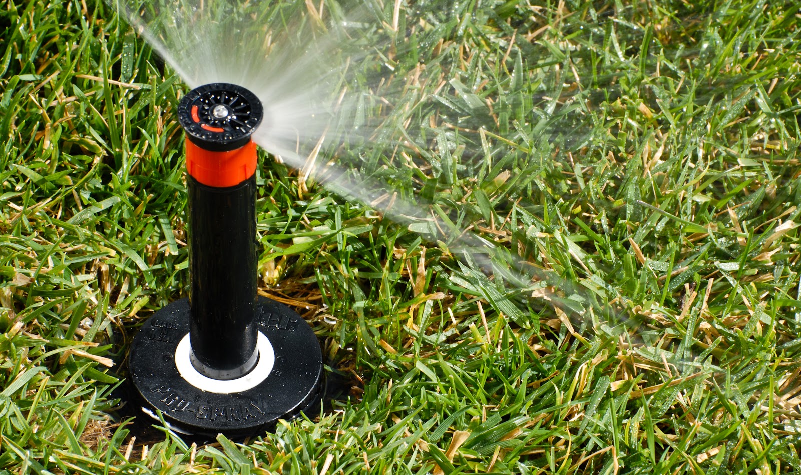 Irrigation Inspections